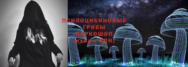 spice Лиски