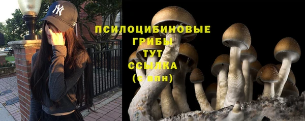 spice Лиски