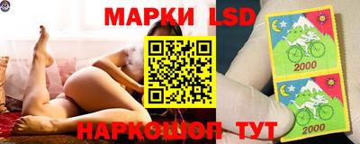 молекула духа Будённовск