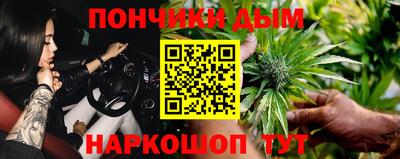 молекула духа Будённовск