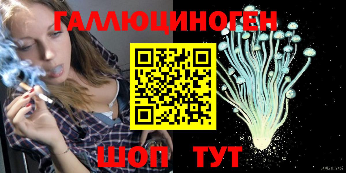 Златоуст  Галлюциногенные грибы Psilocybine cubensis  Вход с VPN 