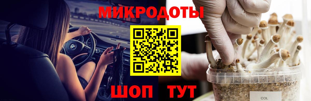 Галлюциногенные грибы мухоморы Златоуст